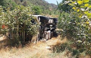 Bolu’da kontrolden çıkan tır fındık bahçesine...