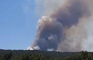 Bolu’da orman yangını başladı