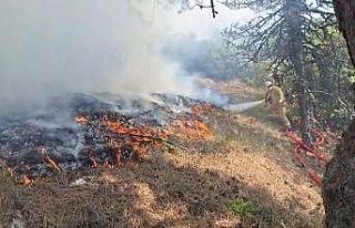 Bolu’da orman yangını: Havadan ve karadan müdahale...