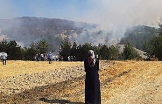 Bolu’daki orman yangını 5.saatinde