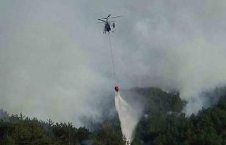 Bolu’daki orman yangını kısmen kontrol altında:...