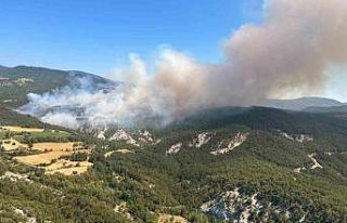 Bolu’daki orman yangınına müdahale sürüyor
