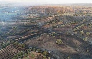 Boşaltıldıktan sonra alevlere teslim olan köy...