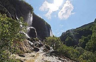 Bozkırın ortasında vaha, sıcaktan bulananlar oraya...