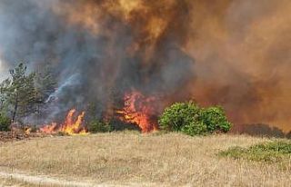 Bursa Valiliği: "Yenişehir’deki orman yangını...