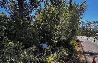 Bursa’da kontrolden çıkan minibüs şarampole...