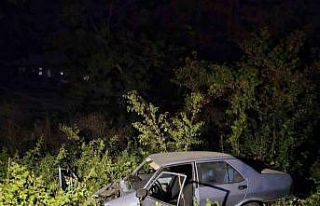 Bursa’da kontrolden çıkan otomobil şarampole...