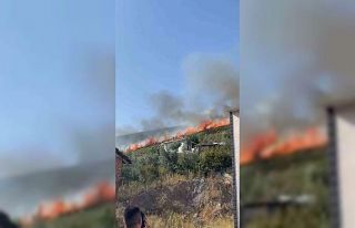 Bursa’da orman yangını...