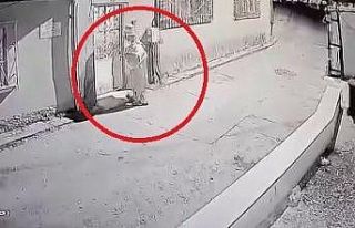 Bursa’da palyaço dehşeti