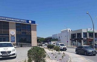 Büyükşehir’den doğaya ve kent estetiğine yeşil...