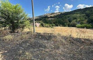 Çalılık alandaki yangın ormana sıçramadan söndürüldü