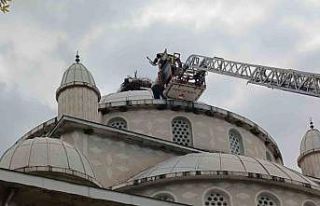 Cami kubbesinde mahsur kalan leyleği itfaiye kurtardı