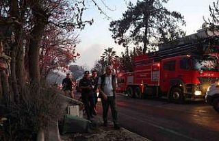 Çanakkale Valisi Toraman devam eden söndürme çalışmalarını...