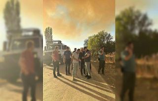 Çanakkale Valisi Toraman yangın bölgesinde yürütülen...