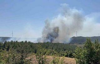 Çanakkale’de orman yangını