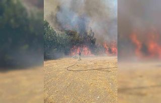 Çanakkale’de orman yangınına havadan ve karadan...