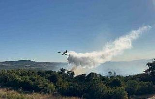 Çanakkale’de tarım arazisinde başlayarak ormanlık...