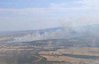 Çanakkale’de tarım arazisinde yangın