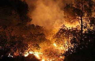 Çanakkale’de yangın etkisini sürdürüyor......