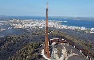 Çanakkale’de yaşanan orman yangınında yanan...