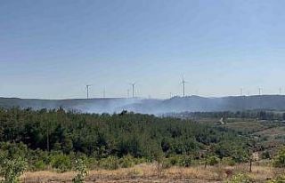 Çanakkale’deki orman yangını kontrol altında