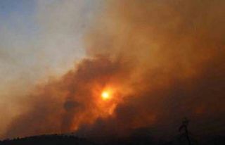 Çanakkale’deki yangında 126 vatandaş tahliye...