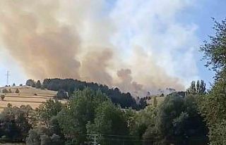 Çankırı’da orman yangını