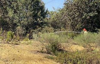 Çekmeköy’de ormanlık alanda çıkan yangın söndürüldü