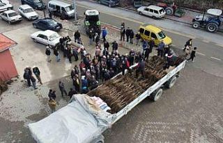 Cevizin başkenti artık Denizli