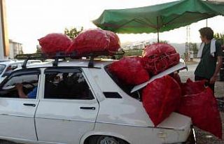 Çiftçilerin zorlu biber mesaisi