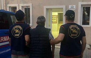 Çocukları kullanıp hayvanları zehirlemişti, tutuklandı