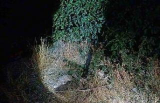 Çorum’da sokak ortasında silahlı saldırıya...