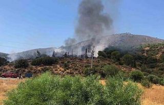 Datça’da makilik yangını