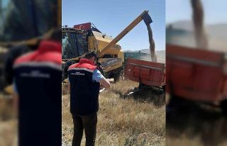 Demirözü’nde biçerdöver kontrolleri sürüyor