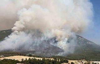 Denizli’de çıkan orman yangınını söndürme...