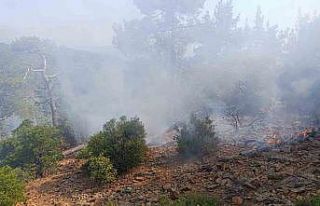 Denizli’de günler önce düşen yıldırım orman...