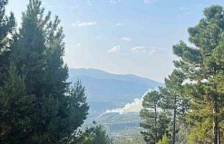 Denizli’de orman yangını