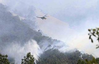 Denizli’deki orman yangınında soğutma çalışmaları...