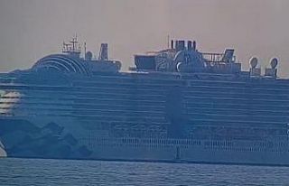 Dev yolcu gemisinden düşen Kenyalı aranıyor