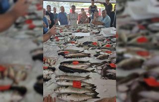 Didim’de ilk balık mezatı gerçekleştirildi