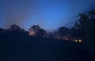 Diyarbakır’da ağaçlık alanda korkutan yangın:...