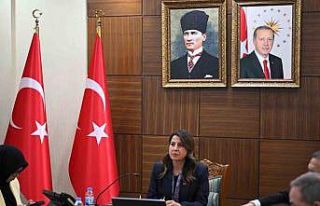 Diyarbakır’da, kadın hizmetleri bölgesel istişare...