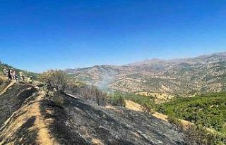 Diyarbakır’da üç farklı noktada çıkan yangınlar...