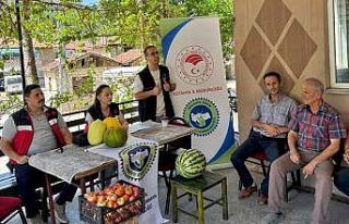 Doğal Emet Göncek köyü kavunu için 35 çiftçiye...