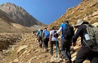 Doğaseverler, Gevaş-Bahçesaray arasında 20 kilometrelik...