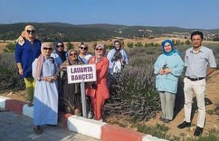 DPÜ Tavşanlı Meslek Yüksekokulu’na nezaket ziyareti