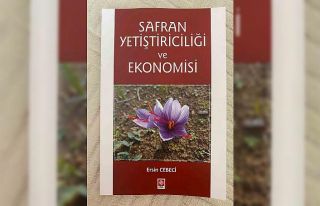 Dünyanın en pahalı baharatının faydaları ’Safran...