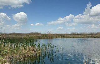 Eber Gölü’nde su seviyesi 5 santimetreye kadar...