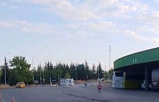 Edirne Otogarı’nda ilginç anlar: Eşek bu kez...