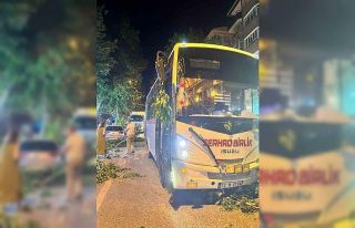 Edirne’de ağaç devrildi, 2 araç hasar gördü